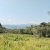 🌱 FINCA PRODUCTIVA EN VENTA | GUALACA, CHIRIQUÍ